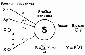 Математическая модель нейрона, искусственные нейросети