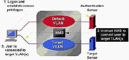 VLAN   